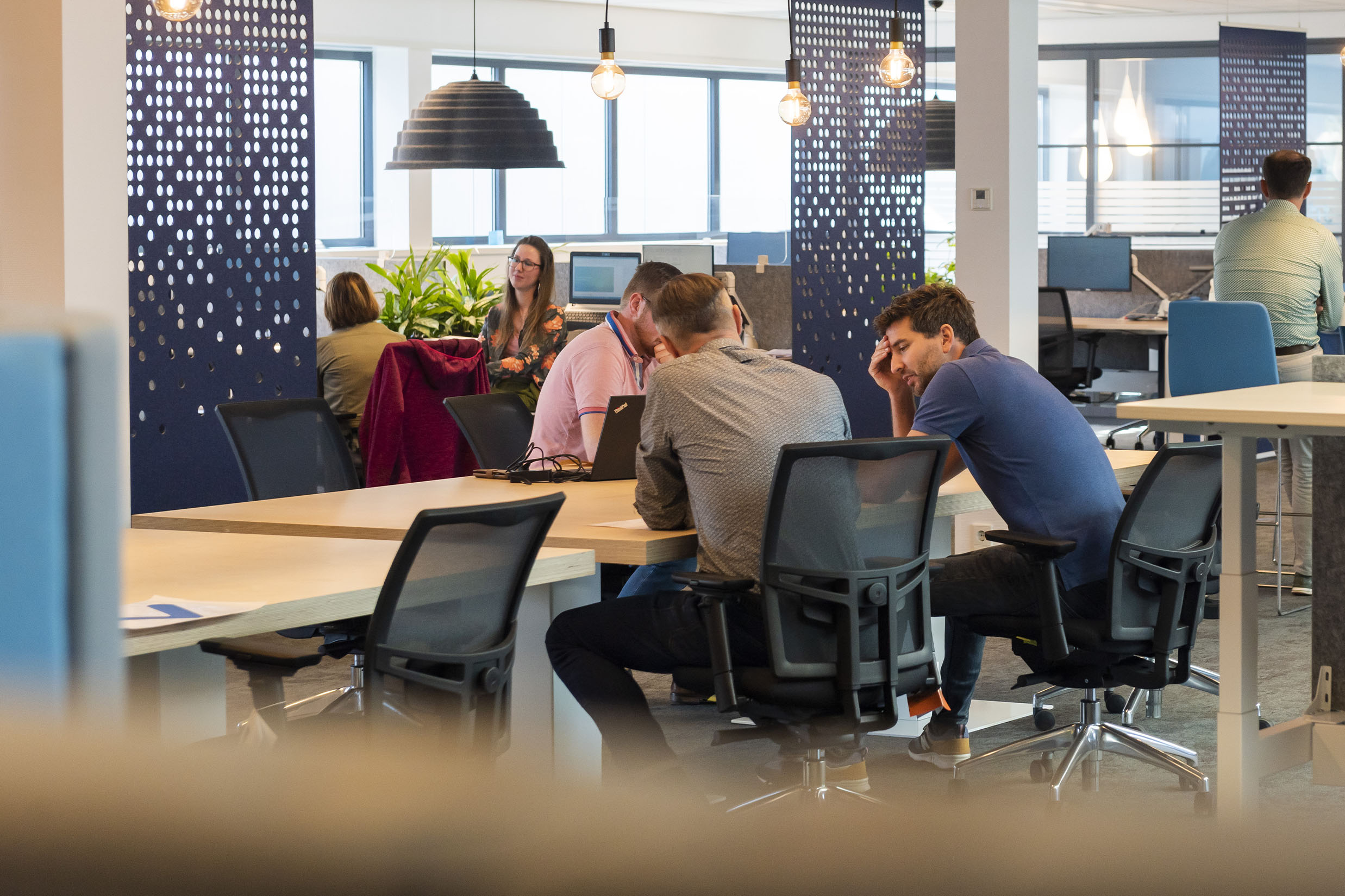 Aanbestedingsbegeleiding